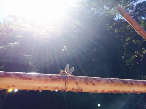 51791396_797781233953863_2446817837461798912_n